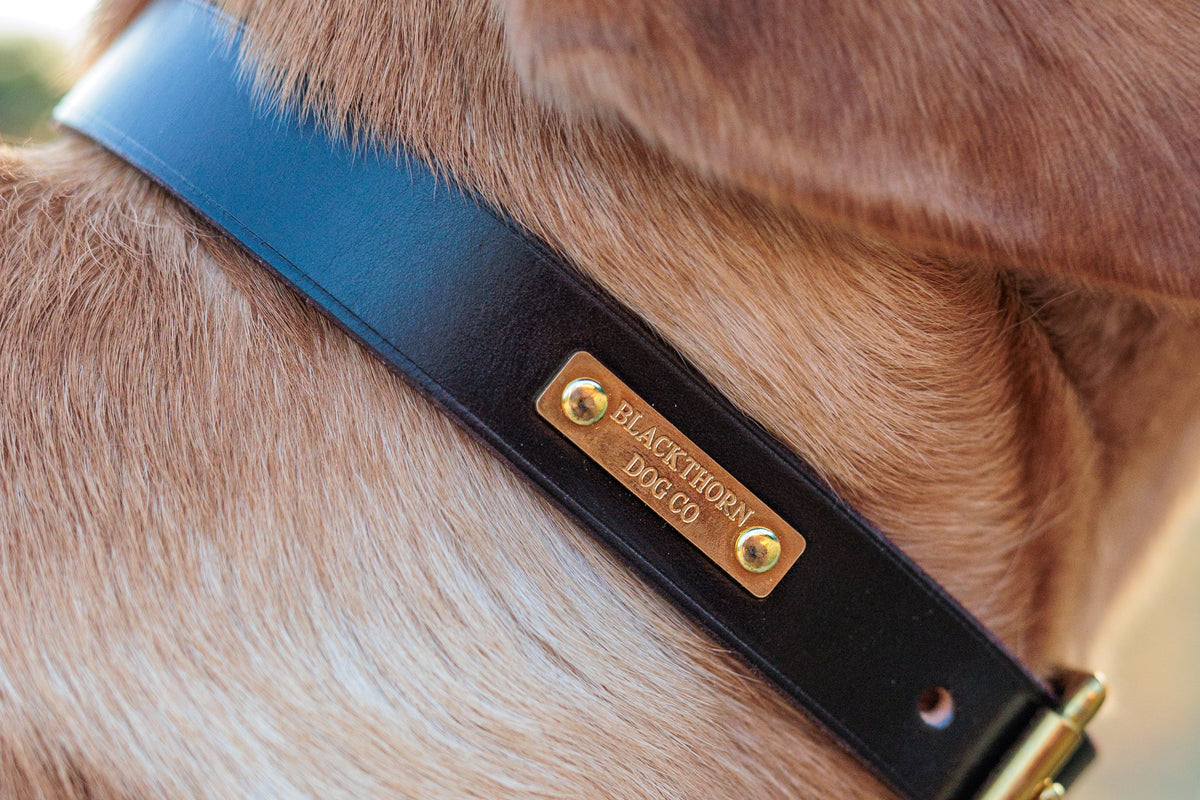 Hedgerow Collar